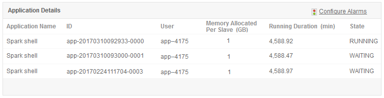 Apache Spark Application Details